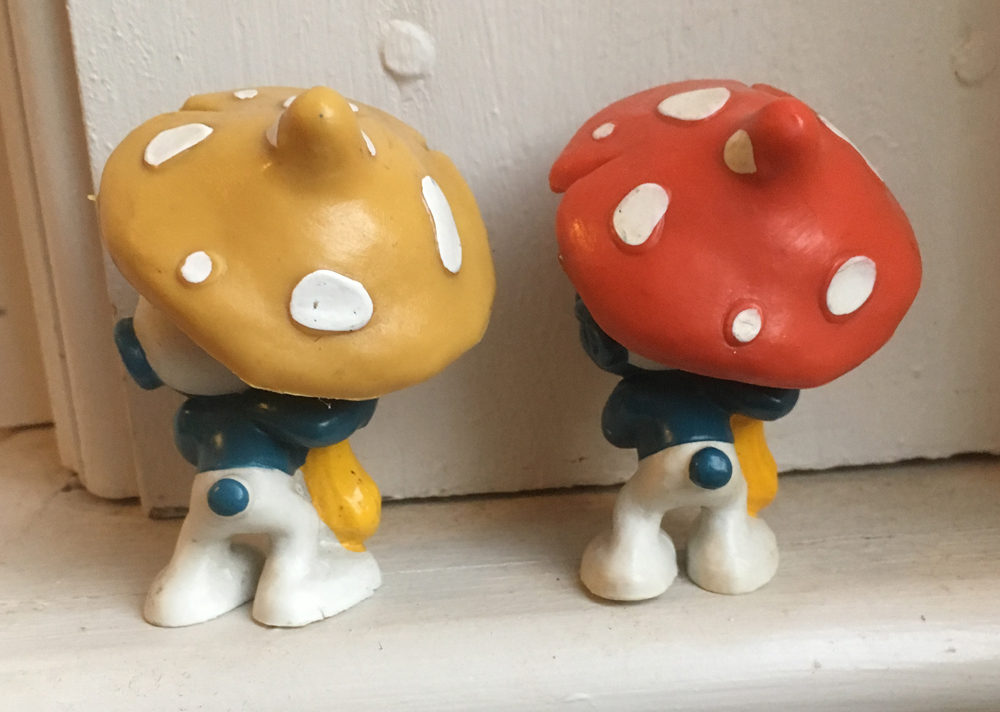 yellowmushroom2